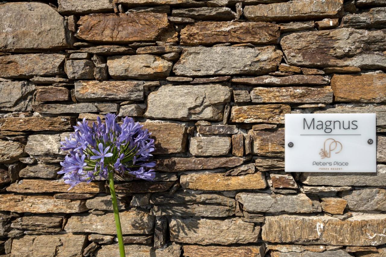 Peters Place - Paros Resort Parasporos Exterior photo